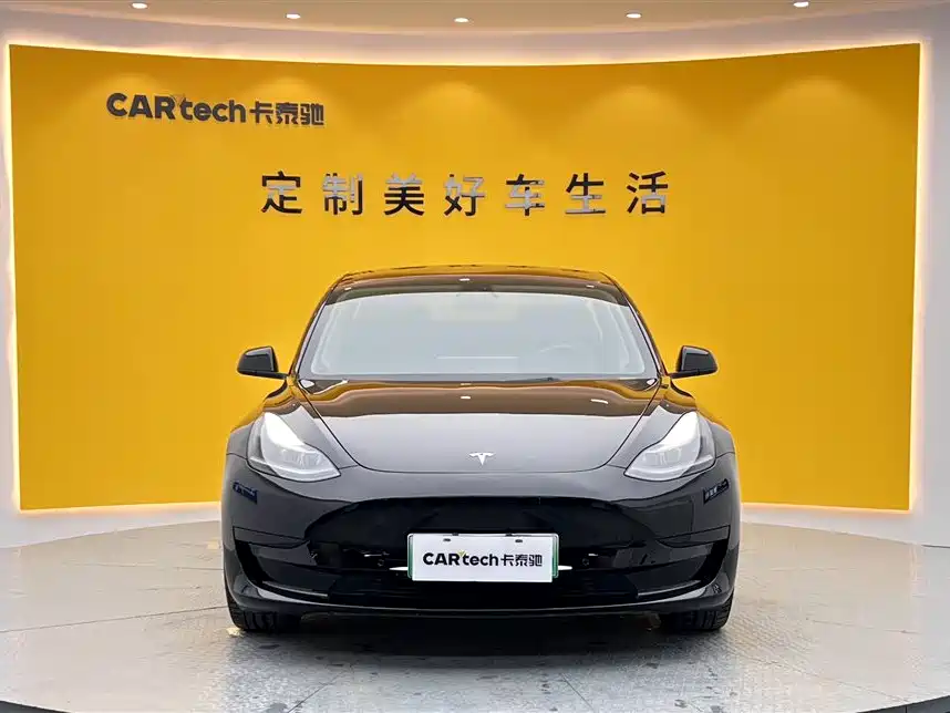 Tesla Model 3 2021