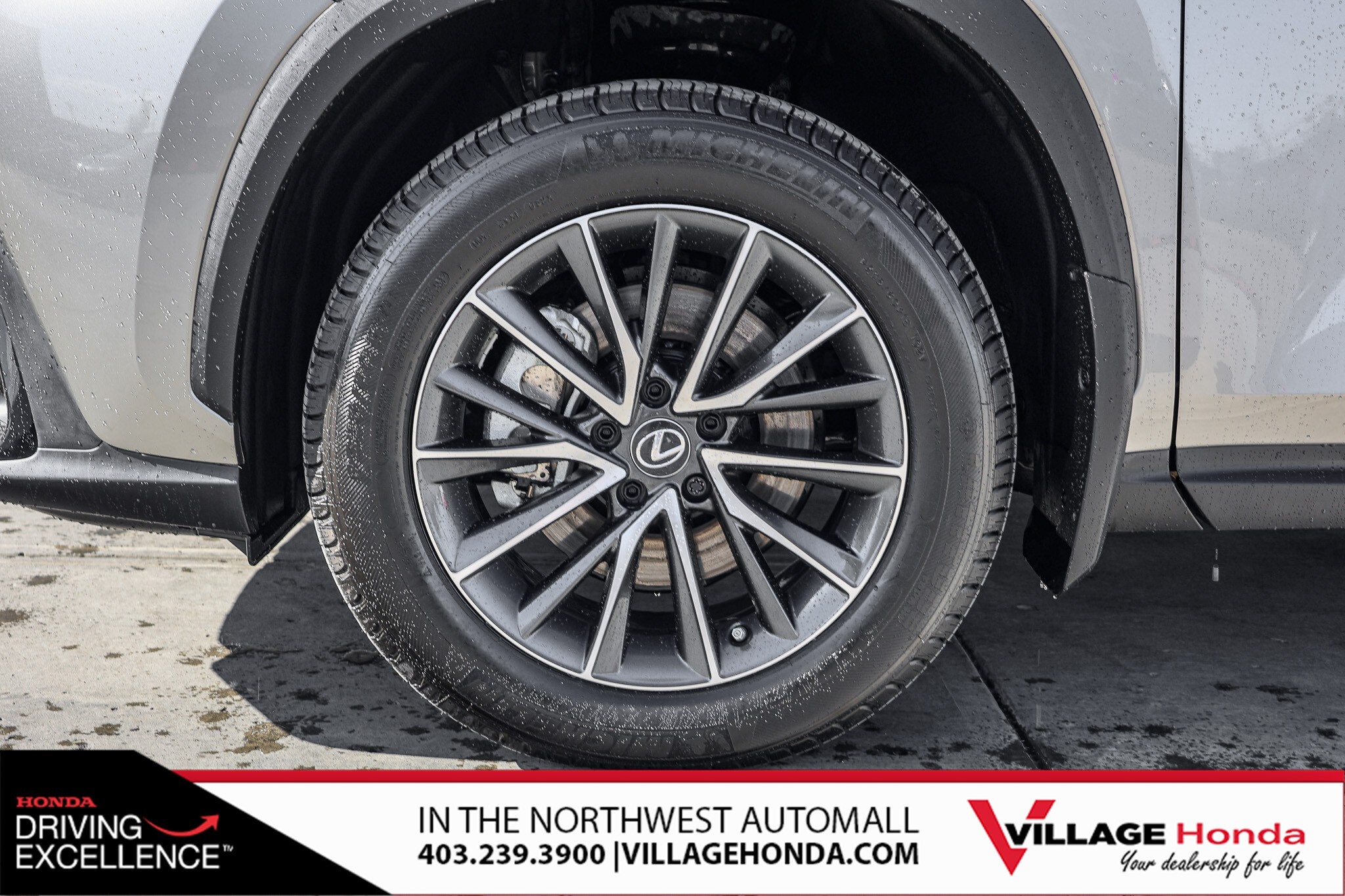 Lexus NX 2023