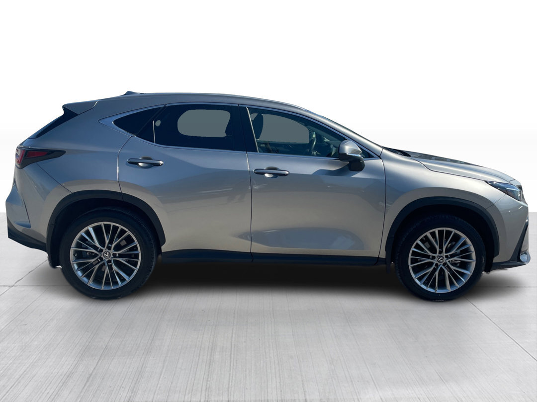 Lexus NX 2022