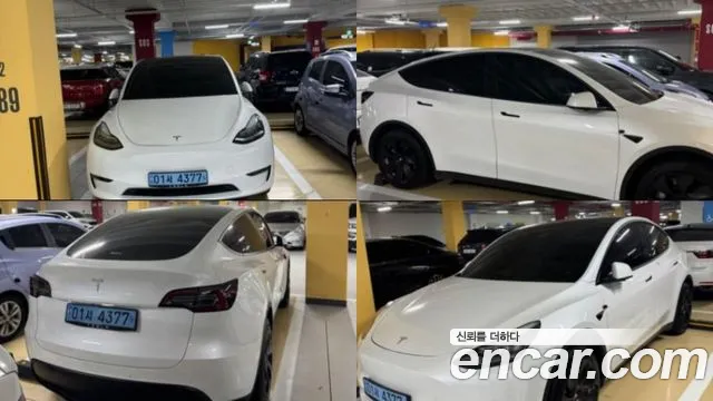Tesla Model Y 2021