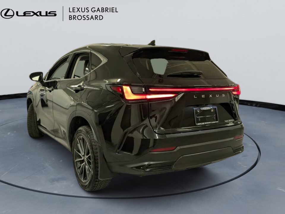 Lexus NX 2022