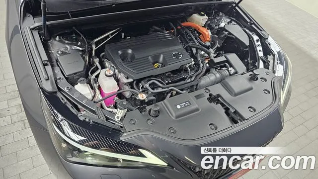 Lexus NX 2022