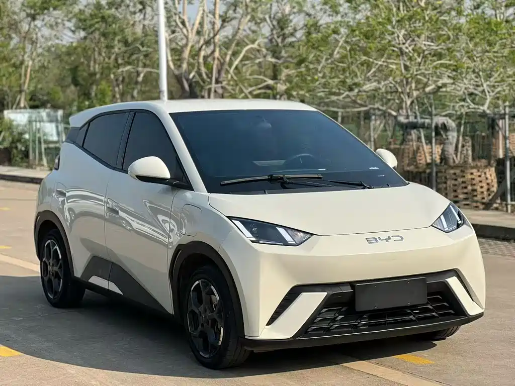 BYD Seagull 2024
