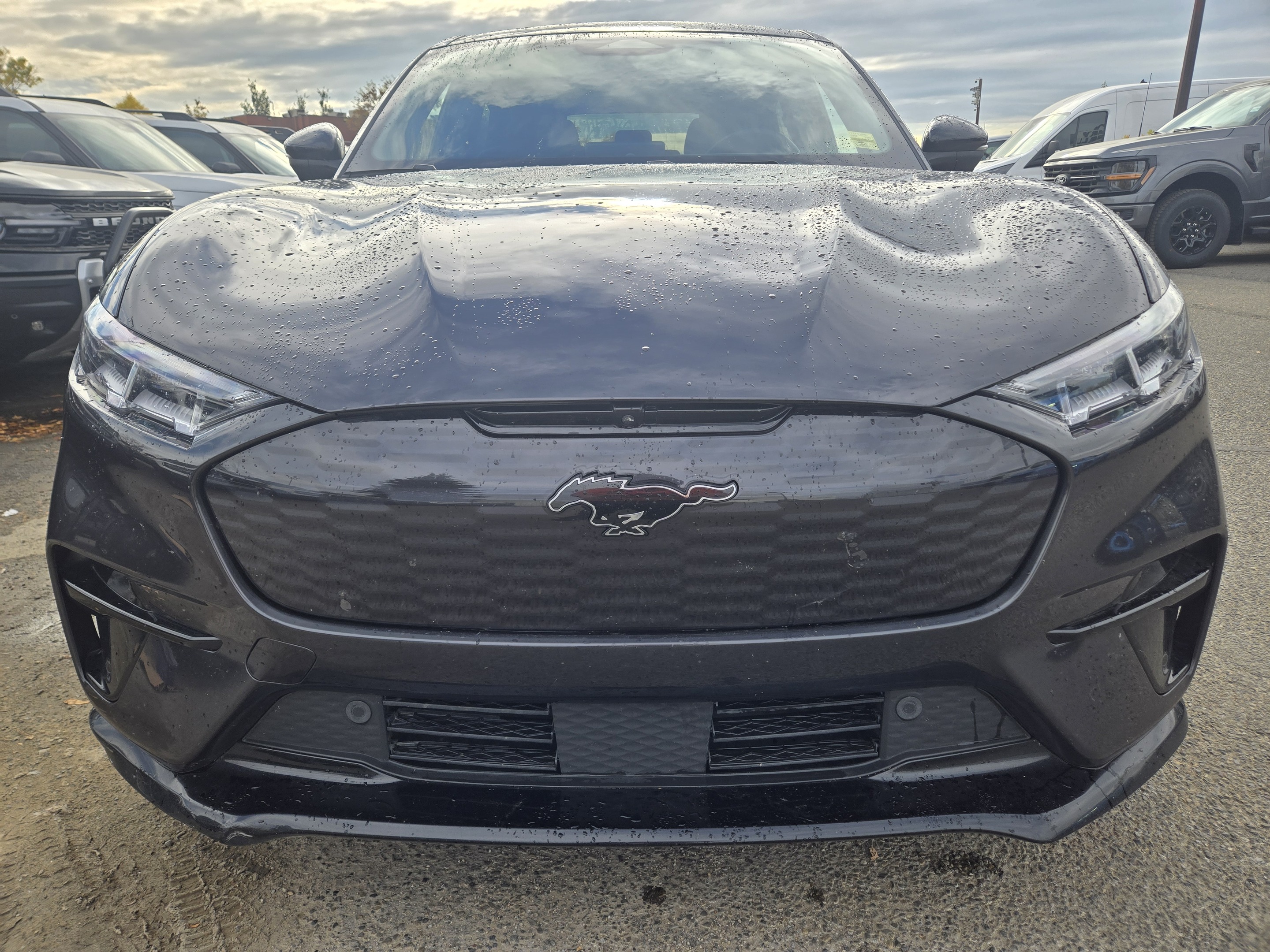 Ford Mustang Mach-E 2022