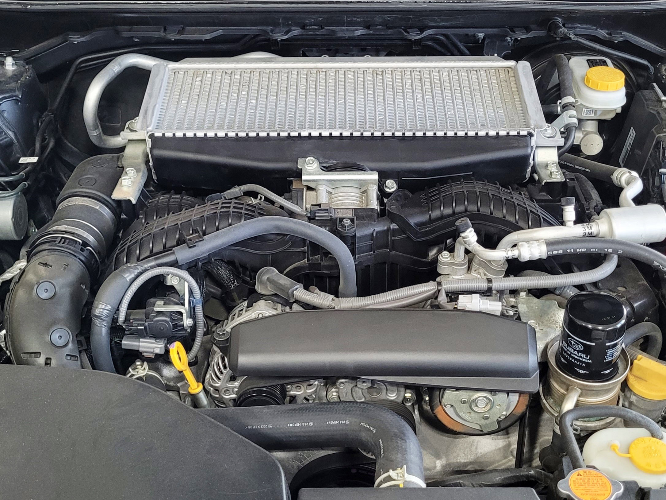 Subaru WRX 2023