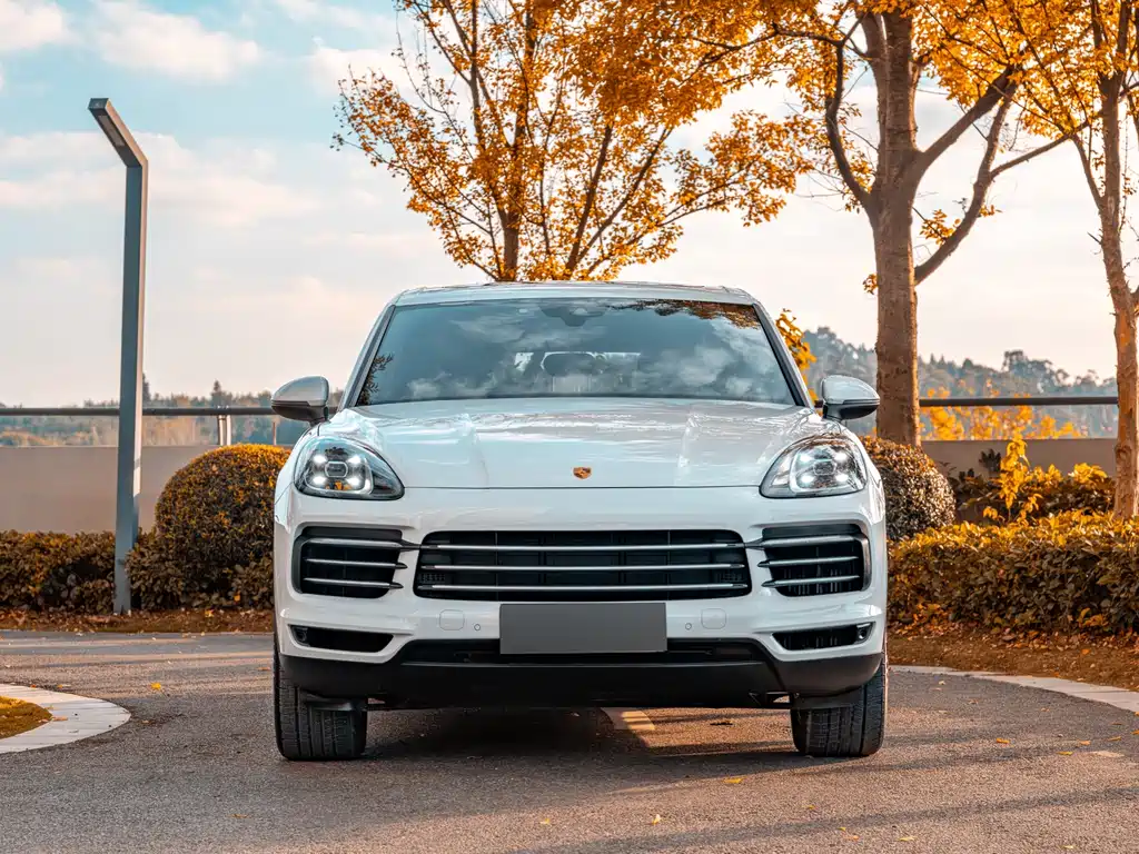 Porsche Cayenne 2020