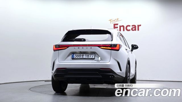 Lexus NX 2025