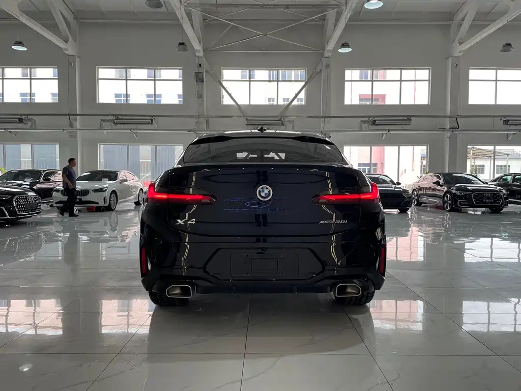 BMW X4 2024