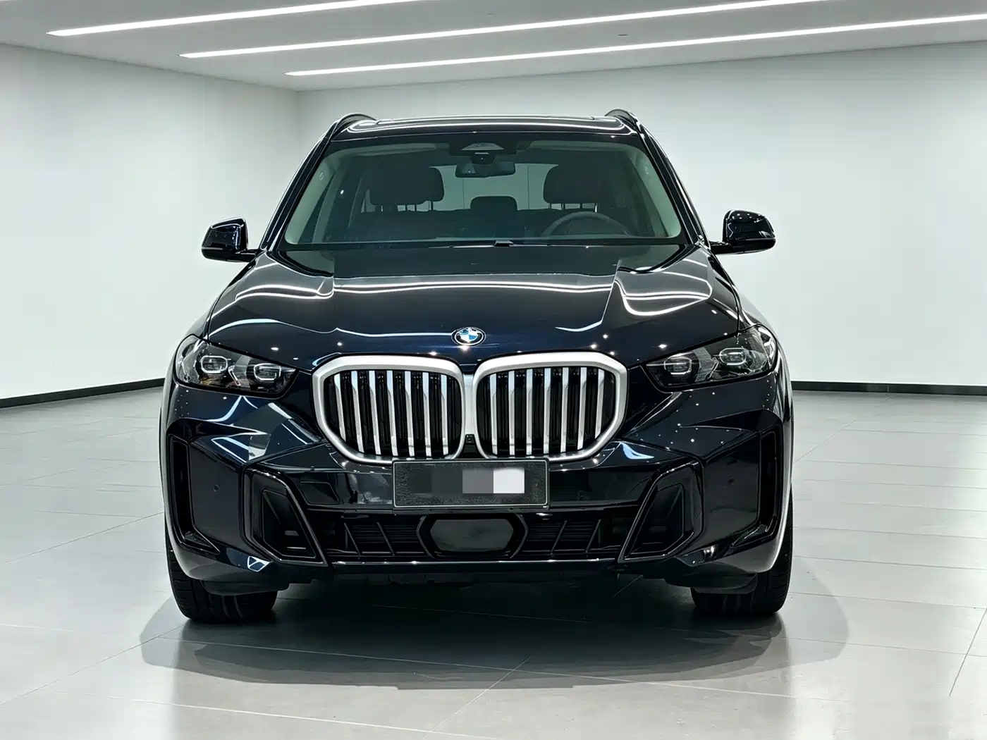 BMW X5 2024