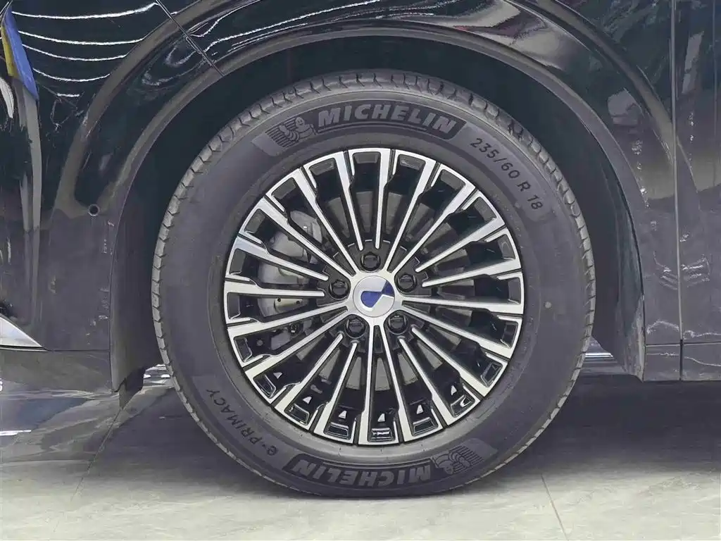 Denza D9 2025