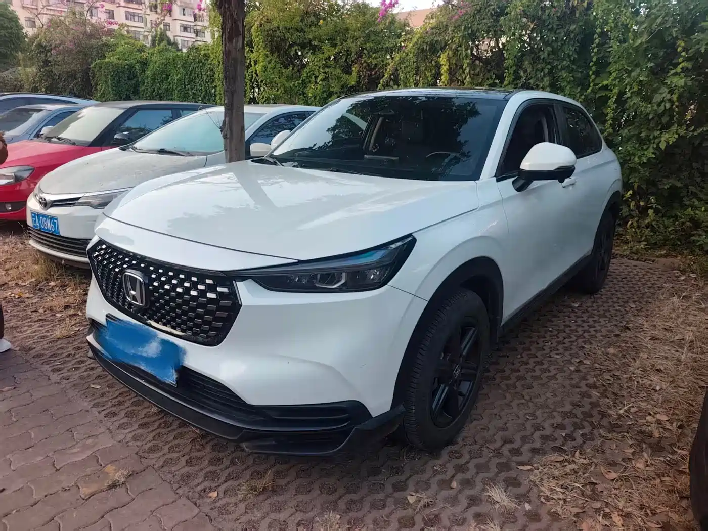 Honda XR-V 2023