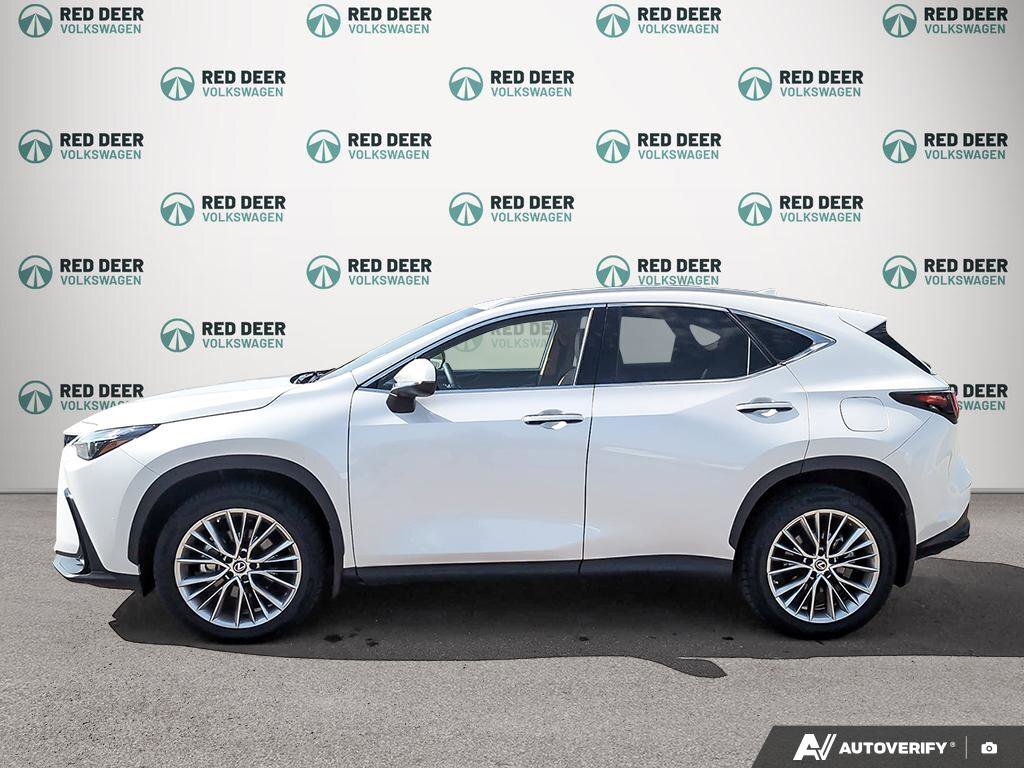 Lexus NX 2022