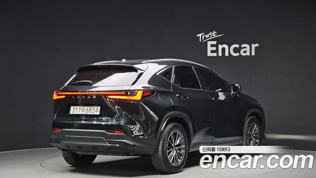 Lexus NX 2023