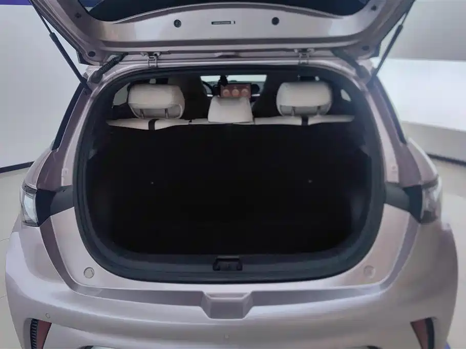 BYD Dolphin 2023