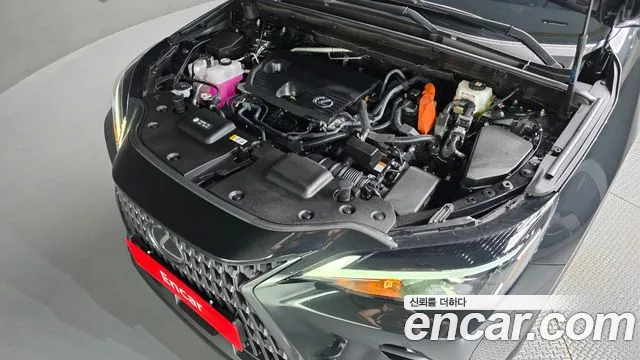 Lexus NX 2025