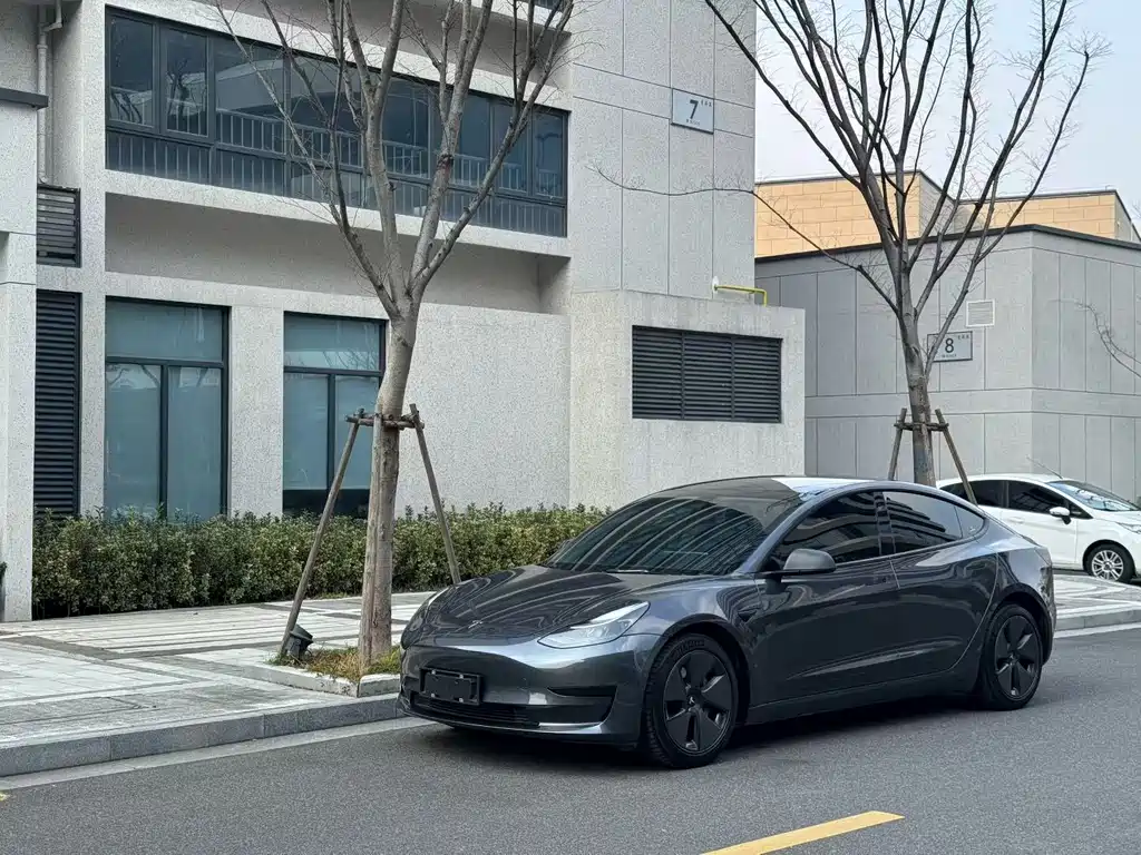 Tesla Model 3 2021