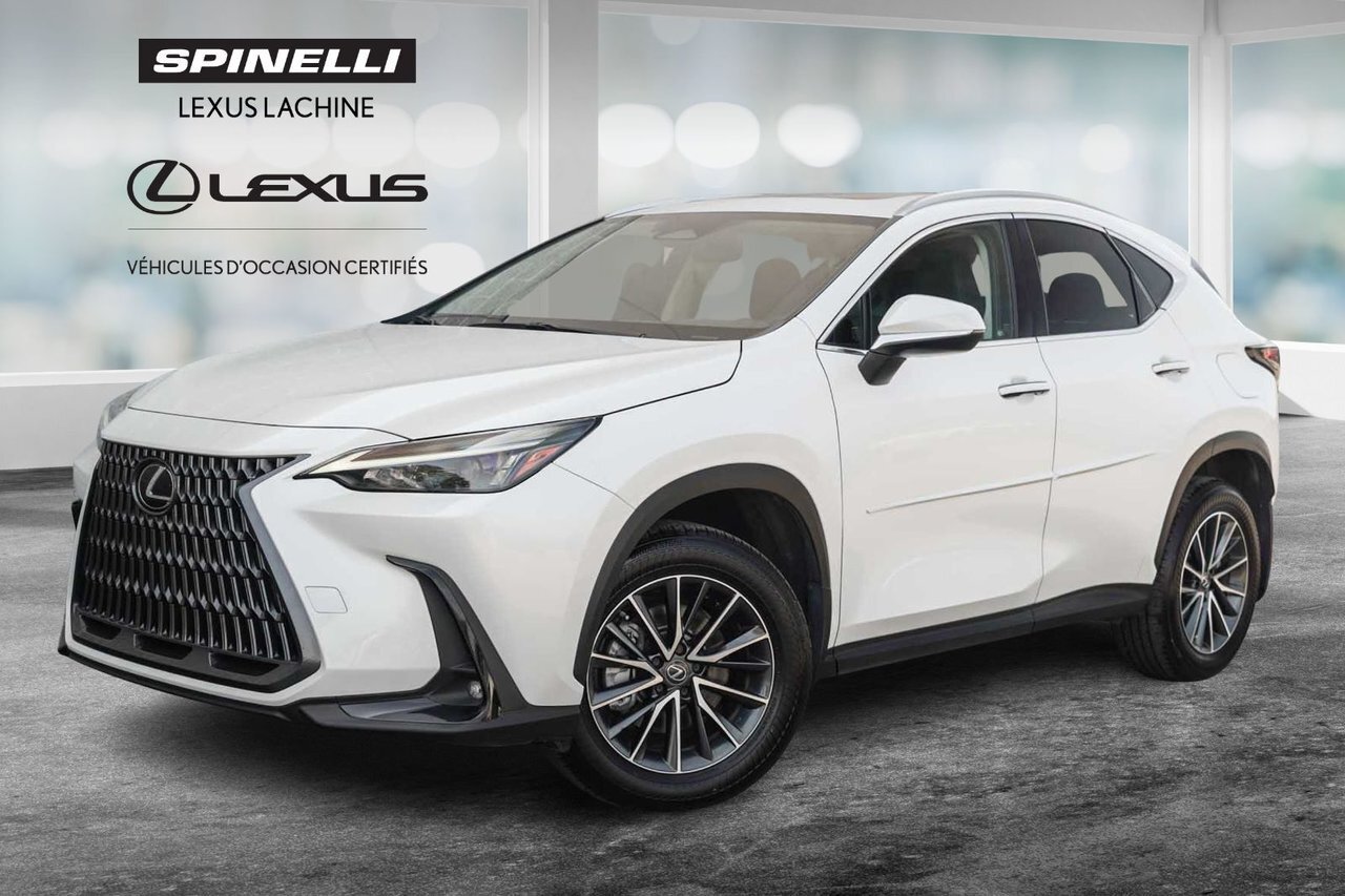 Lexus NX 2022