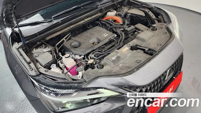 Lexus NX 2024