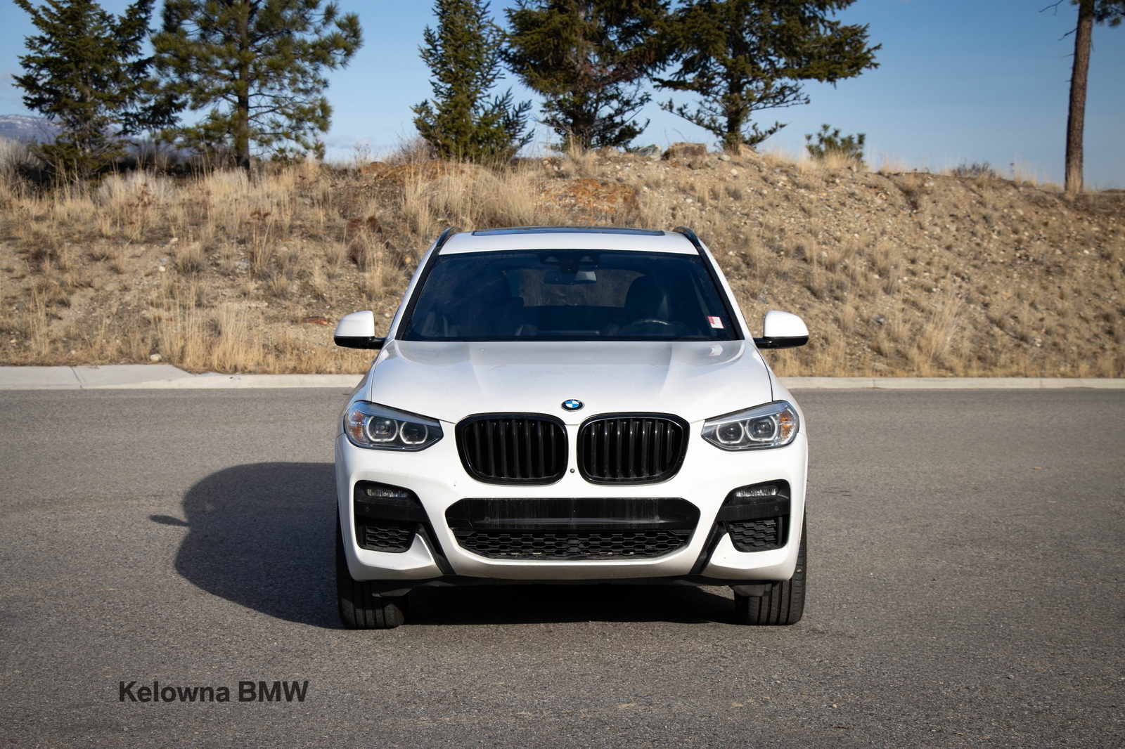BMW X3 2021