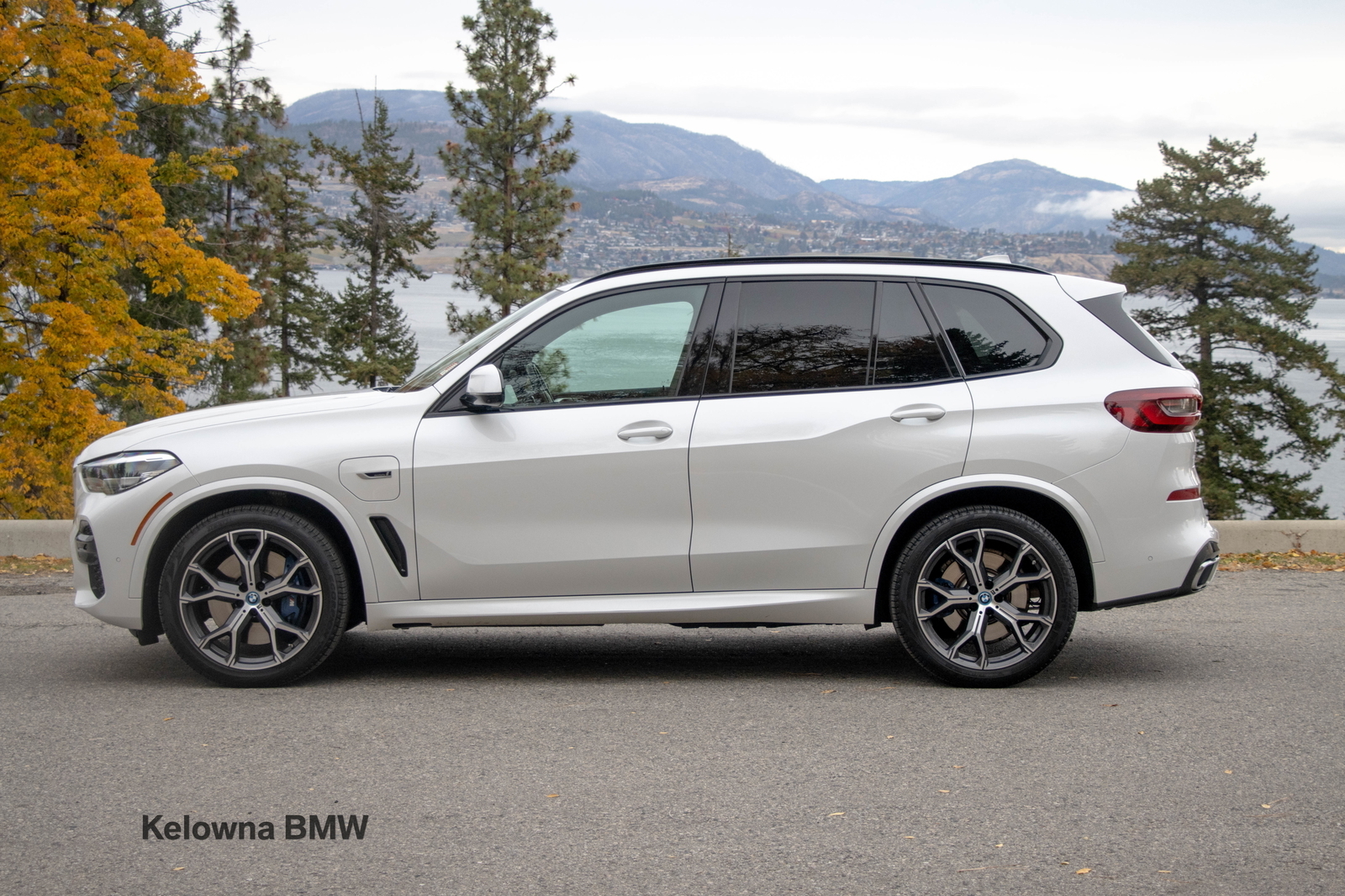 BMW X5 2022