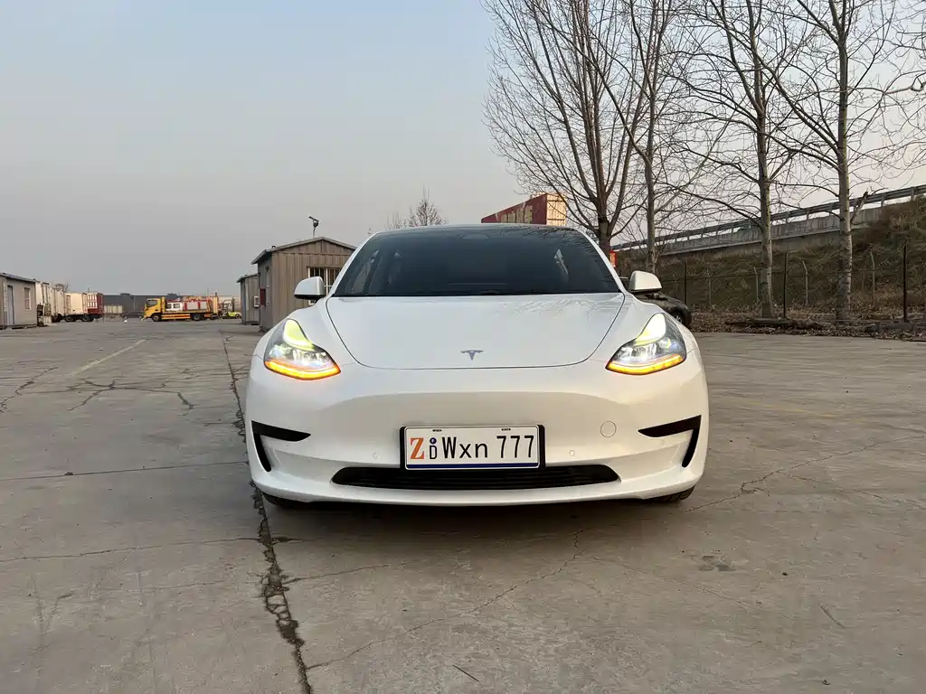 Tesla Model 3 2021