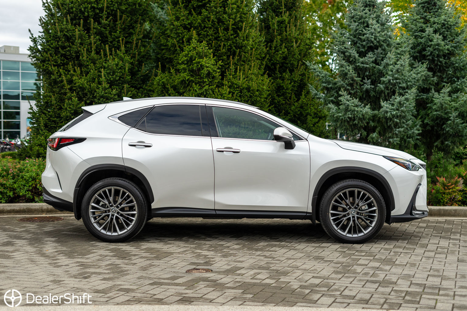 Lexus NX 2022