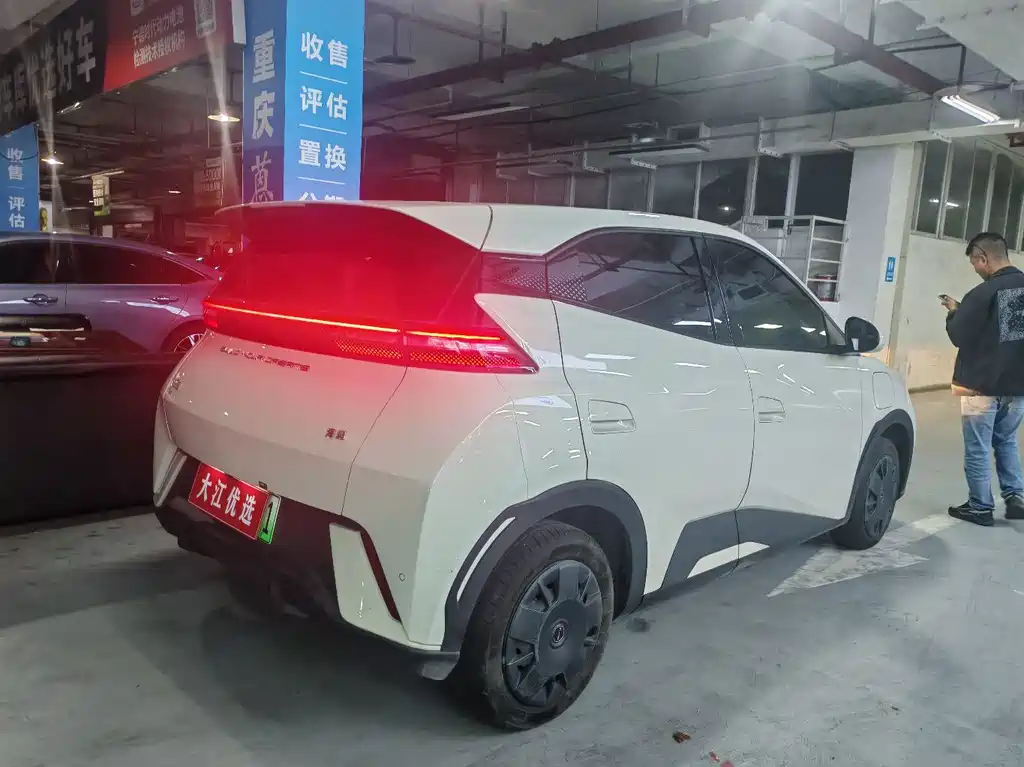 BYD Seagull 2024