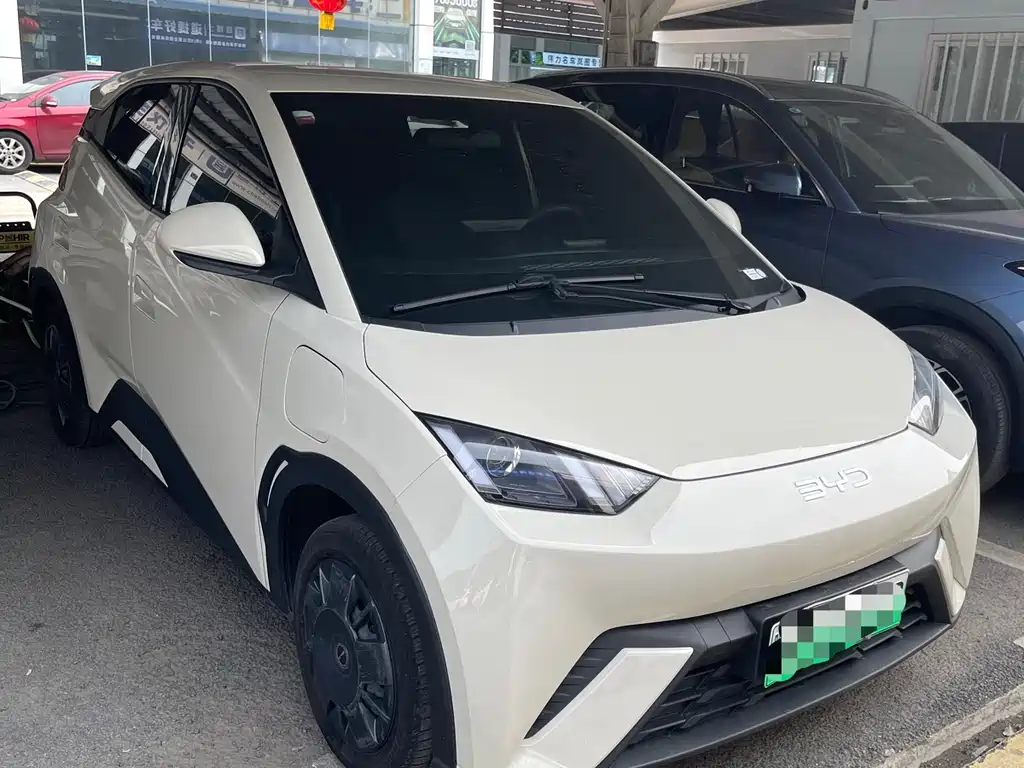BYD Seagull 2024
