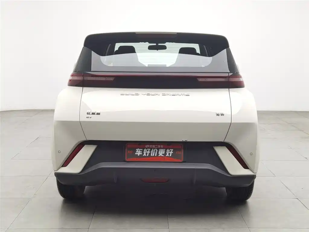 BYD Seagull 2024