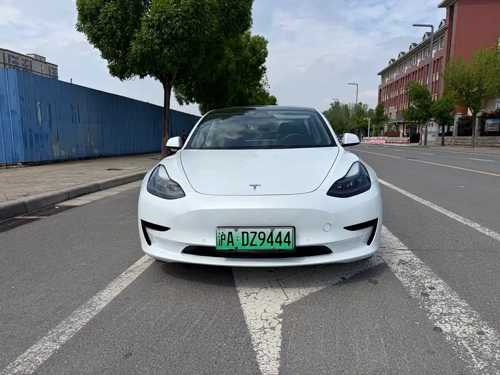 Tesla Model 3 2021