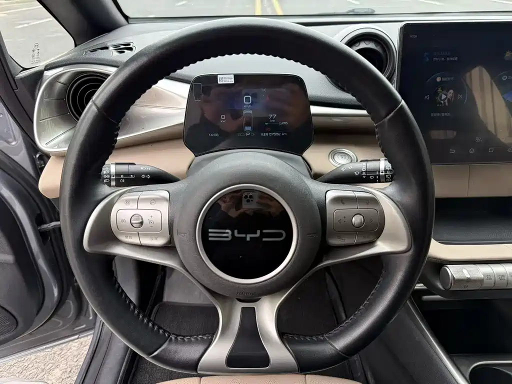 BYD Dolphin 2024