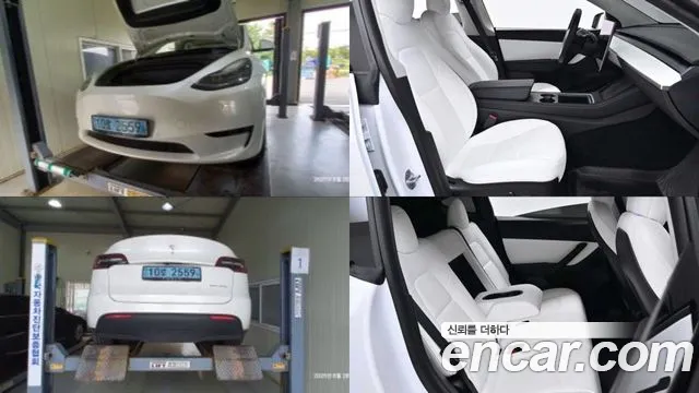 Tesla Model Y 2021