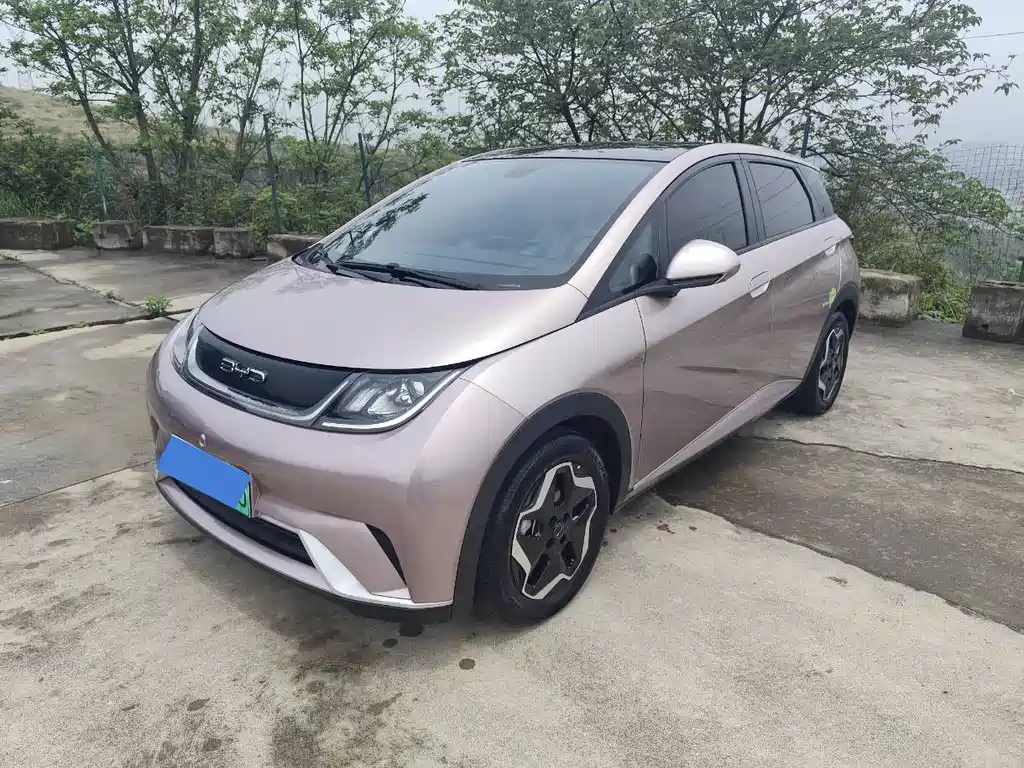 BYD Dolphin 2022