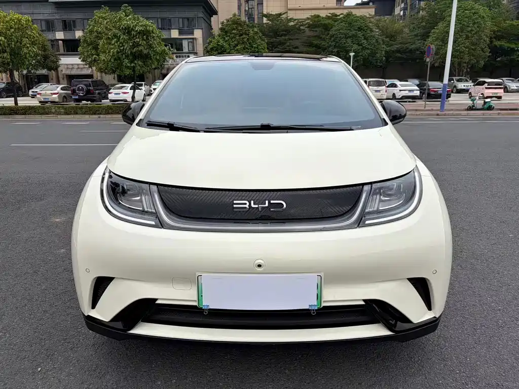 BYD Dolphin 2024