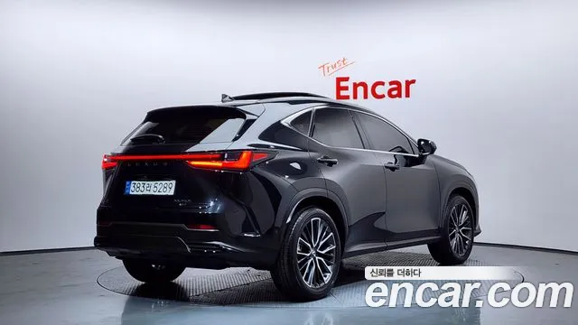 Lexus NX 2024