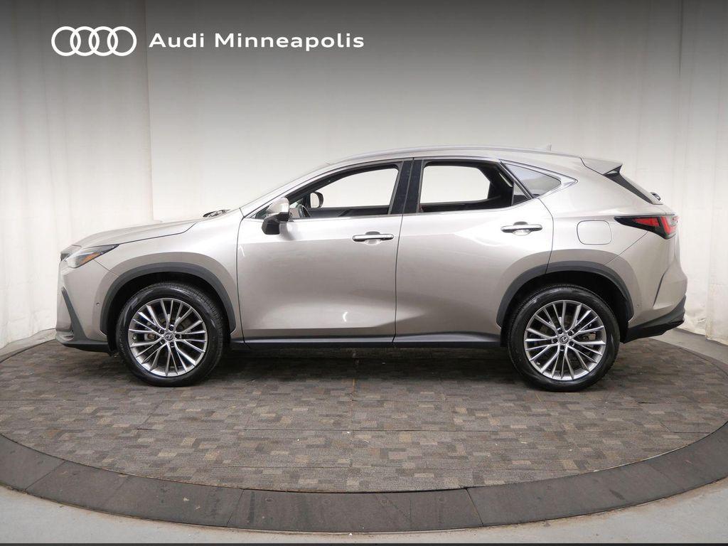 Lexus NX 2023