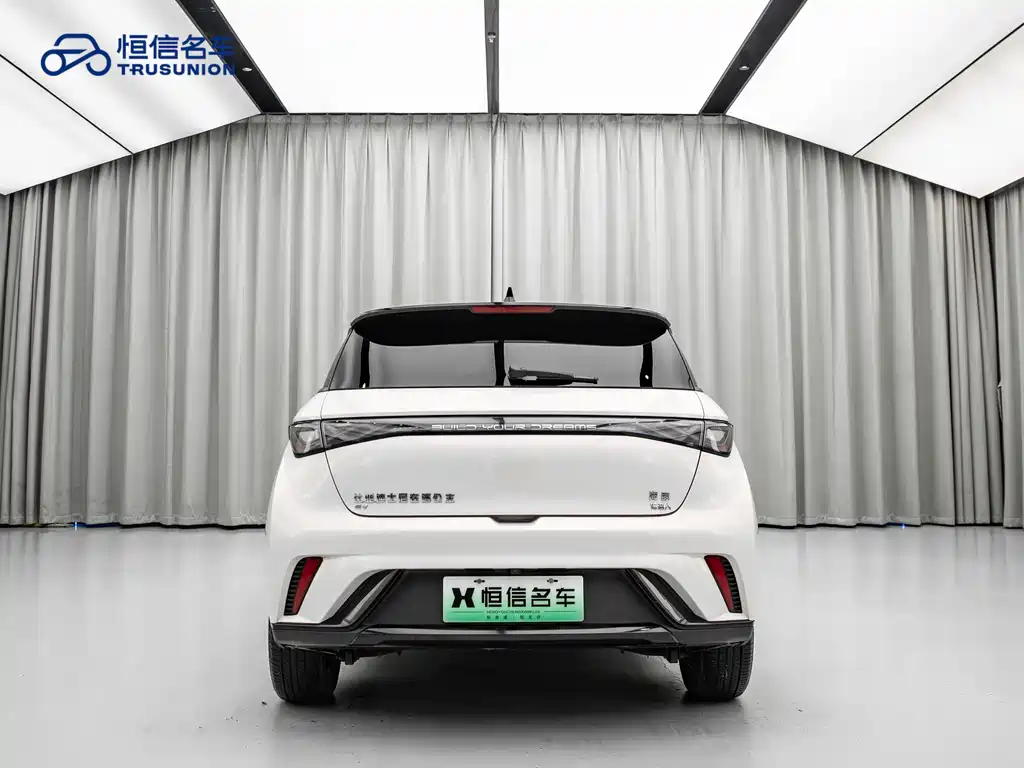 BYD Dolphin 2024