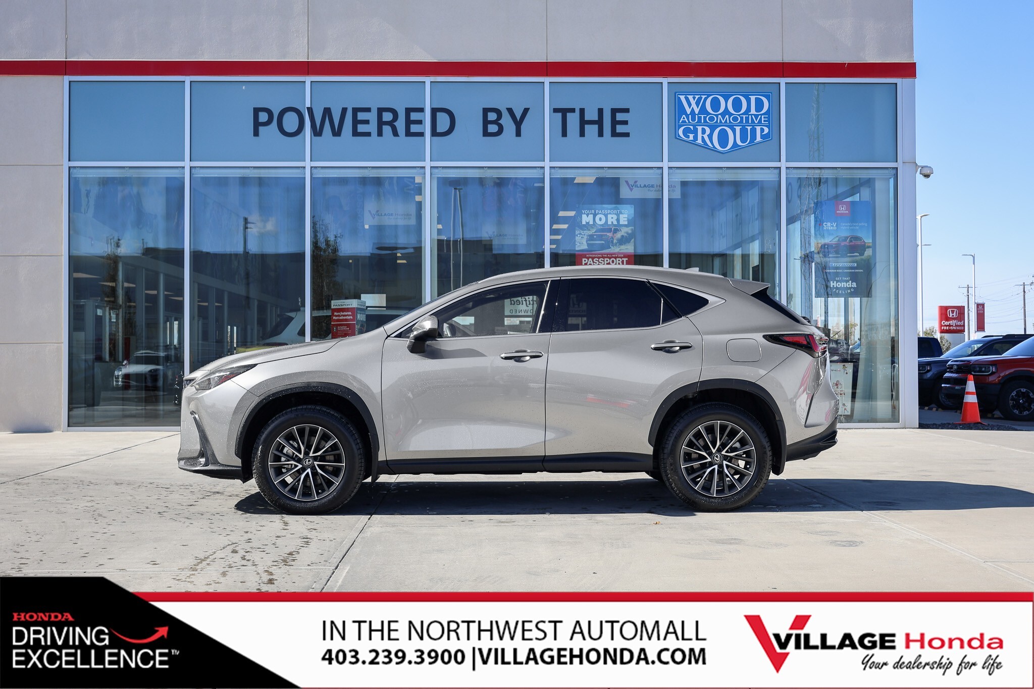 Lexus NX 2023
