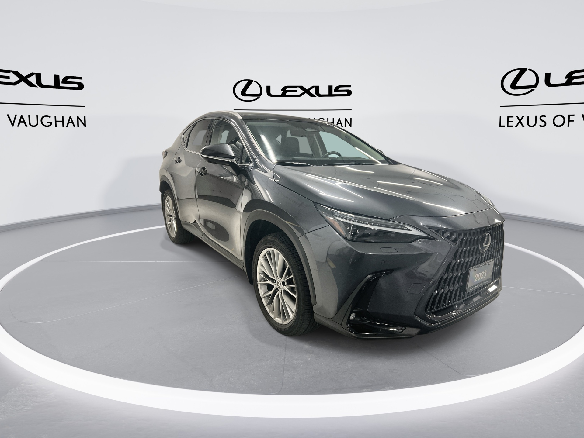 Lexus NX 350 2023