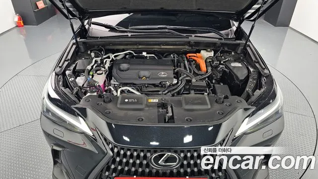 Lexus NX 2024