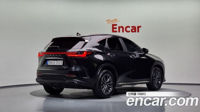 Lexus NX 2023