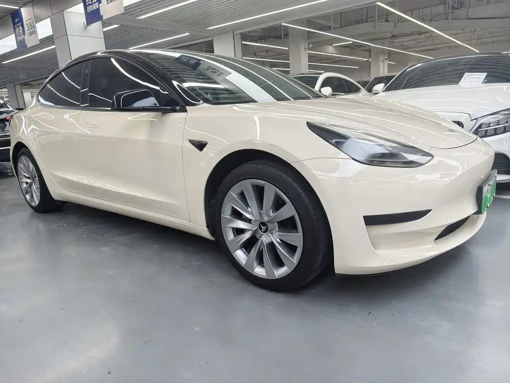 Tesla Model 3 2021