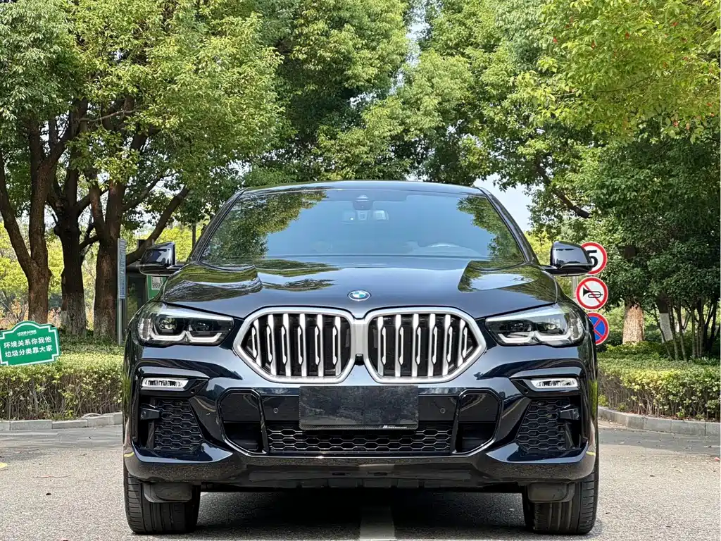 BMW X6 2021