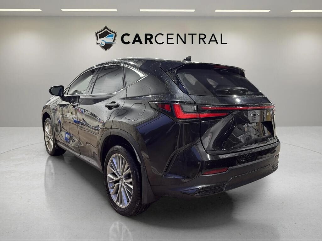 Lexus NX 2024