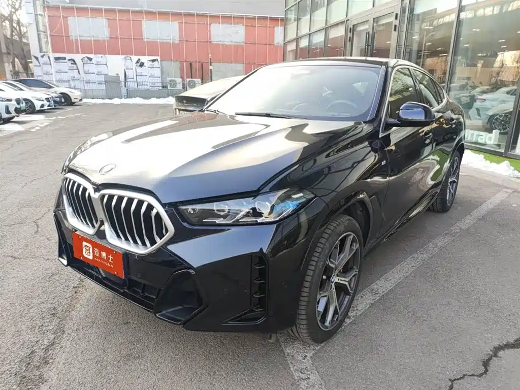 BMW X6 2024