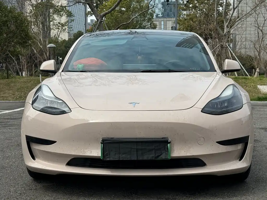 Tesla Model 3 2022