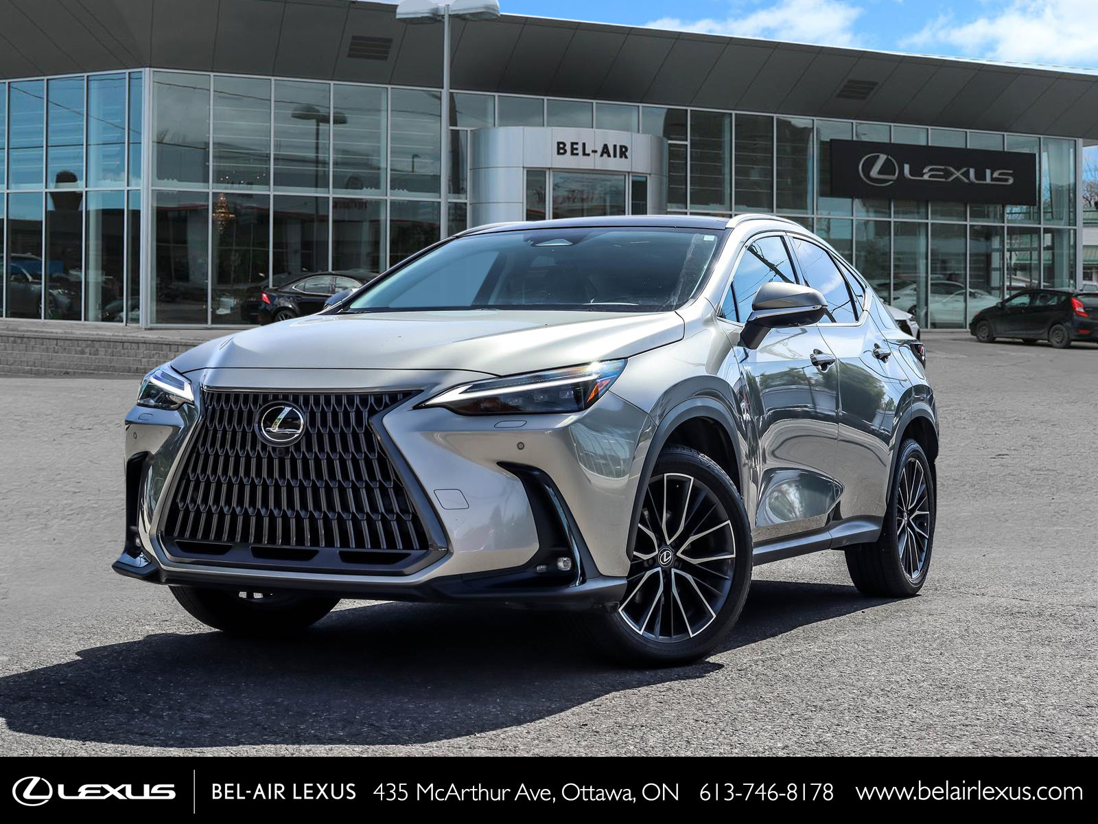 Lexus NX 350 2024