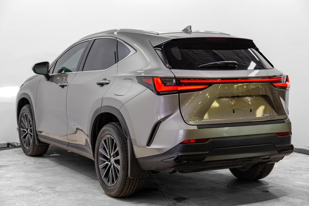 Lexus NX 350 2024