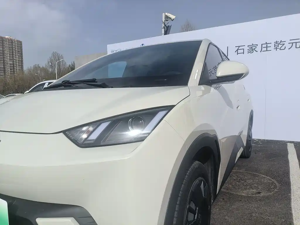BYD Seagull 2024