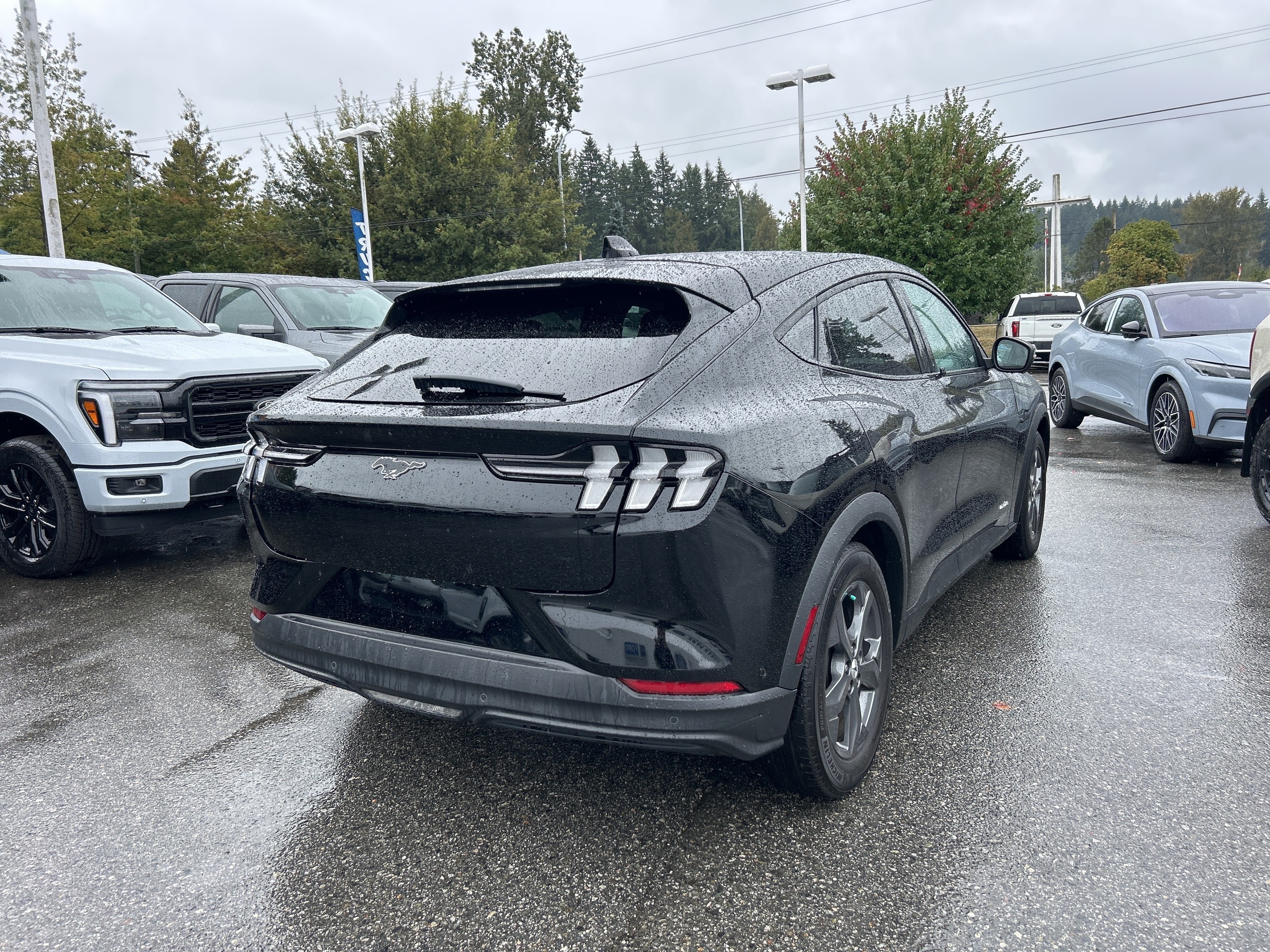 Ford Mustang Mach-E 2021